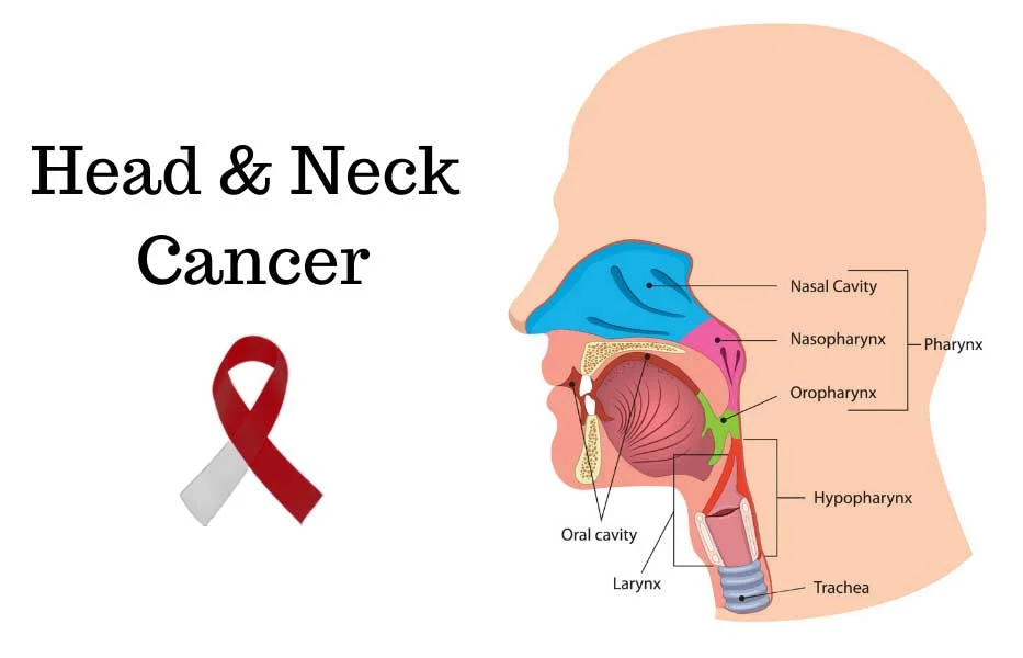 Head and Neck Surgical oncology